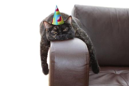 Auch wenn die Silvesternacht in diesem Jahr etwas ruhiger ablaufen dürfte, ist man vor viel Alkohol und dem darauffolgenden ... Auch wenn die Silvesternacht in diesem Jahr etwas ruhiger ablaufen dürfte, ist man vor viel Alkohol und dem darauffolgenden ...