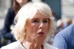 Herzogin Camilla träumt von einem Tanzauftritt im Fernsehen