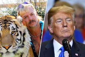 Joe Exotic: Begnadigungsgesuch liegt auf Donald Trumps Schreibtisch
