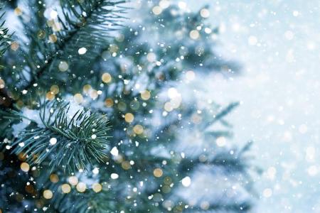Schnee zum Weihnachtsfest sorgt für die richtige Stimmung. Schnee zum Weihnachtsfest sorgt für die richtige Stimmung.