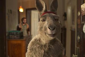 "Die Känguru-Chroniken": Ist das Kultbuch verfilmbar?