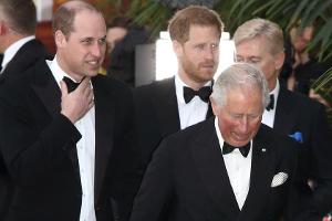 Prinz Charles mit Corona infiziert: So erfuhren es Harry und William