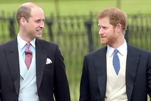Prinz Harry und Prinz William nähern sich wieder an