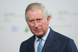 Prinz Charles: "Es ist ein endloser Kampf"