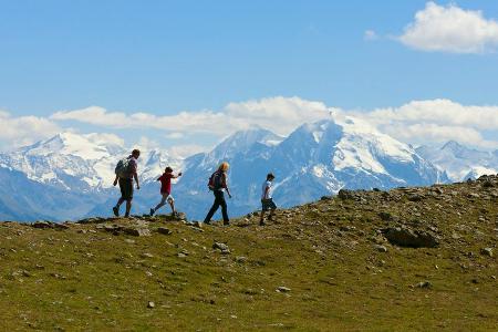 Wanderung durch den Nationalpark Stilfserjoch - den Ortler (3.905m) immer im Blick