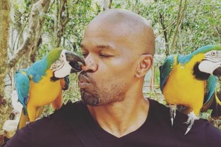 Jamie Foxx: Auf Tuchfühlung mit einem Papagei Jamie Foxx: Auf Tuchfühlung mit einem Papagei