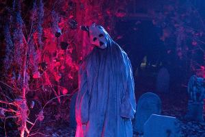Von lustig bis schaurig: Diese Filme sind zu Halloween Pflicht