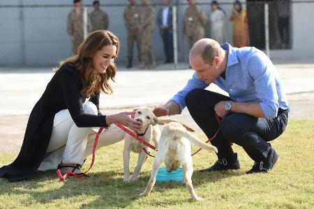 Herzogin Kate und Prinz William haben mit den angehenden Bombenspürhunden sichtlich Spaß