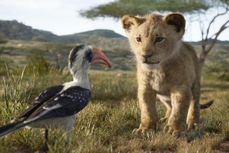 Simba und seine Freunde aus dem Geweihten Land begeistern das Publikum Simba und seine Freunde aus dem Geweihten Land begeistern das Publikum