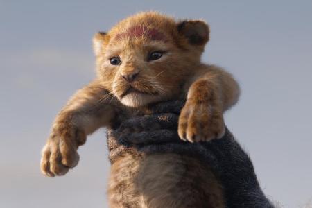 So niedlich wie im Original: So sieht der neue Simba aus So niedlich wie im Original: So sieht der neue Simba aus