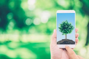 So kauft und recycelt man Smartphones nachhaltig