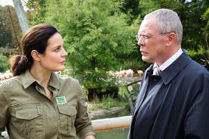 TV-Tipps am Dienstag