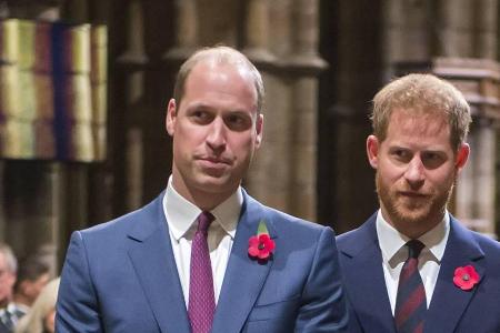 Im Einsatz für die Krone: Prinz William und Prinz Harry