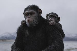 Disney bringt neuen "Planet der Affen"-Film auf den Weg