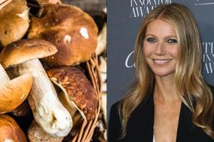 Das sind die Superfood-Trends 2019