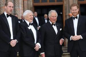 Seltener Auftritt: Charles, William und Harry gemeinsam unterwegs
