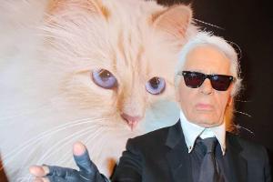 Wer kümmert sich nun um Karl Lagerfelds Katze Choupette?