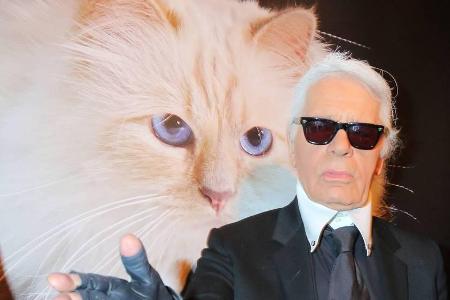 Katze Choupette (hinten) war Karl Lagerfelds Ein und Alles