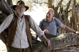 TV-Tipps am Samstag
