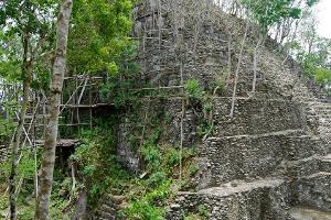 Auf den Spuren der Maya: Die mysteriösen Ruinen von El Mirador