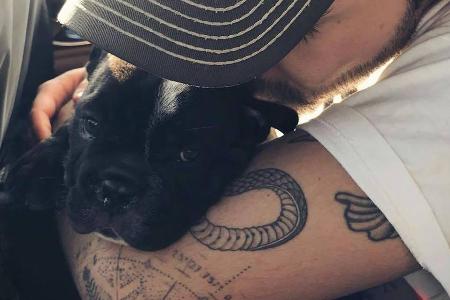 Süßer Weggefährte: Bill Kaulitz mit seinem neuen Hund Stitch Süßer Weggefährte: Bill Kaulitz mit seinem neuen Hund Stitch