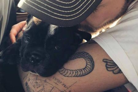 Süßer Weggefährte: Bill Kaulitz mit seinem neuen Hund Stitch