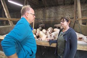 "Bauer sucht Frau": Schweine im Stall, Pech in der Liebe?