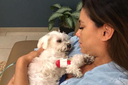 Eva Longoria trauert um ihren Hund Jinxy Eva Longoria trauert um ihren Hund Jinxy