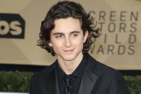 Timothée Chalamet ist mit seinen 22 Jahren für seinen ersten Oscar nominiert