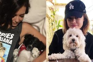 US-Promis feiern ihre Hunde am "National Puppy Day"
