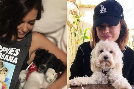 Nina Dobrev (l.) und Lucy Hale lieben ihre Hunde