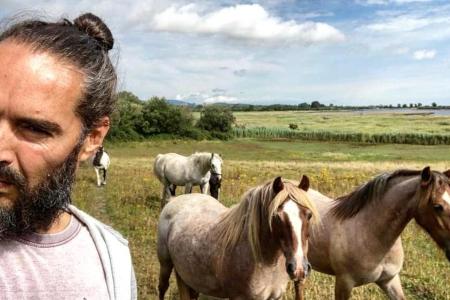 Russel Brand steht nicht besonders auf Pferde Russel Brand steht nicht besonders auf Pferde