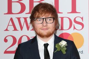 Polizeieinsatz auf Ed Sheerans Anwesen wegen seltener Molchart