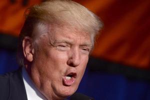 Trump fragt nach van Gogh - und bekommt eine Toilette