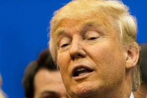 Trump und "Die Eishexe": Diese Geschichten sorgen für Aufsehen