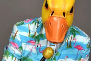 Ingo ohne Flamingo landet den Faschings-Hit des Jahres