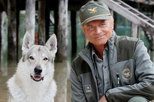 Italo-Western-Held Terence Hill meldet sich als Bergpolizist zurück