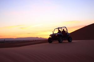 Ab in die Wüste! Auf Safari im Sand von Dubai