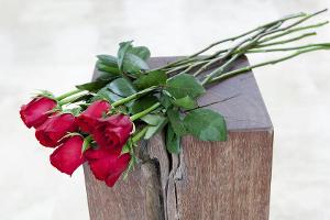 "Bachelor in Paradise": Klappt es diesmal mit der großen Liebe?