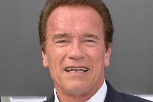 Stars am Independence Day: "Ich liebe mein Land, nur der Präsident..."