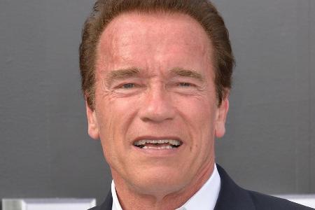 Arnold Schwarzenegger feiert die USA