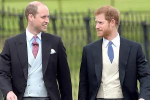 Harry und William: Ihre schönsten Erinnerungen an Mama Diana