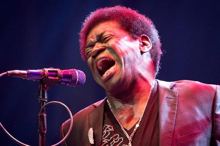 Charles Bradley bei einem Auftritt in den Niederlanden im vergangenen Jahr