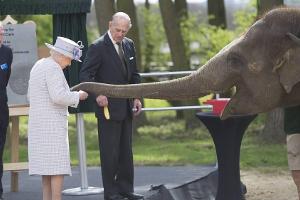 Der Queen fressen die Elefanten aus der Hand