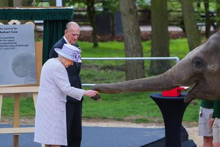 ...Prinz Philip kam die Queen und schüttelte zur Abwechslung einmal nicht menschliche Hände, sondern den Rüssel der Elefante...
