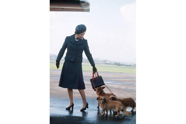...die Monarchin schon immer ein Fan einer ganz bestimmten Rasse: Corgis. Sie ohne die kleinen, kurzbeinigen Bellos mag man ...