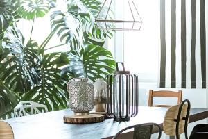 Kaktus und Co.: Mit diesen Pflanzen wird Ihr Zuhause stylischer