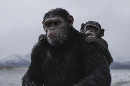Anführer Caesar will mit seinen Affen nur in Frieden leben - doch ein grausamer Soldat (Woody Harrelson) hat etwas dagegen