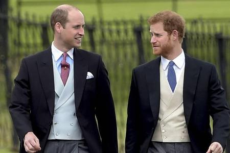 Werden Prinz William und Prinz Harry im neuen 