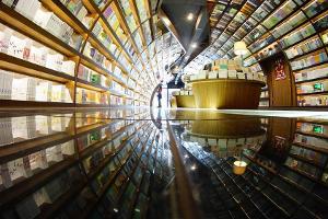 Dieser Bücher-Tunnel ist nicht nur für Leseratten eine Reise wert